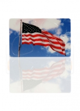 Pikcard Plektren USA Flag